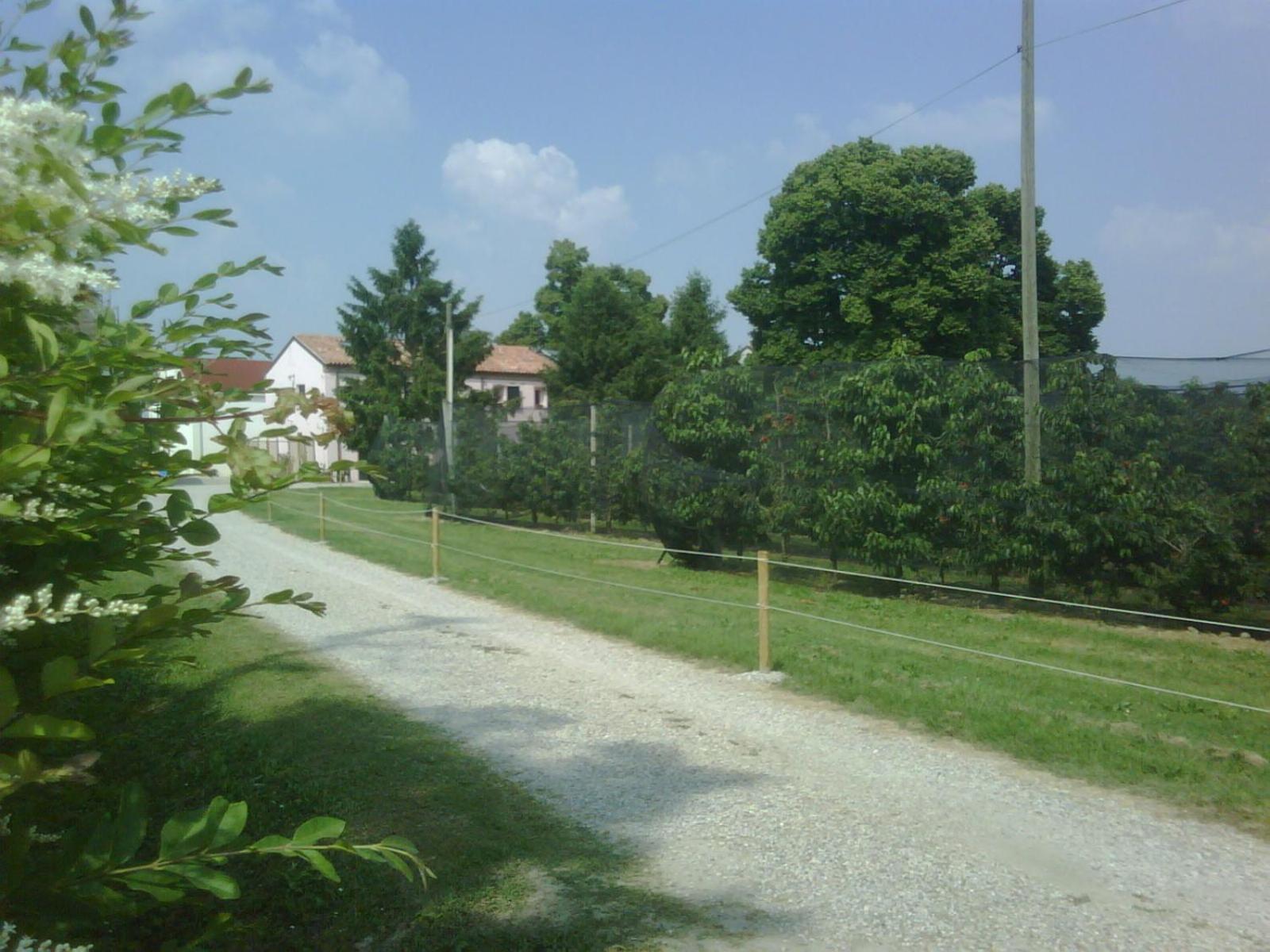 Agriturismo Alla Casella Ferrara Exteriör bild